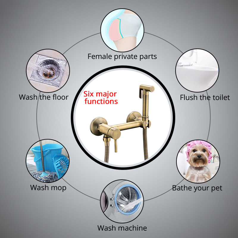 Смеситель д/душа хром F7503-4 бронза  с гигиен лейкой      FRAP - миниатюра №2