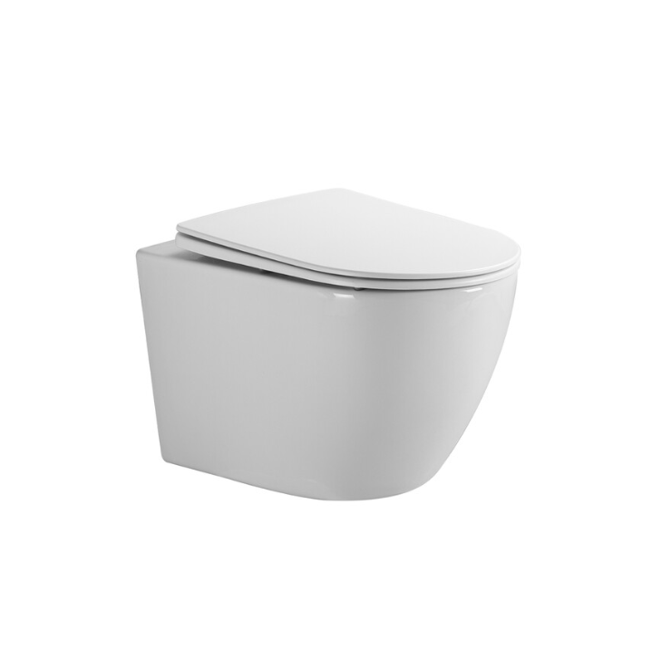 Унитаз подвесной EVA GOLD EG102, безободковый, сиденье тонкое ДП, крепление - Изображение №1