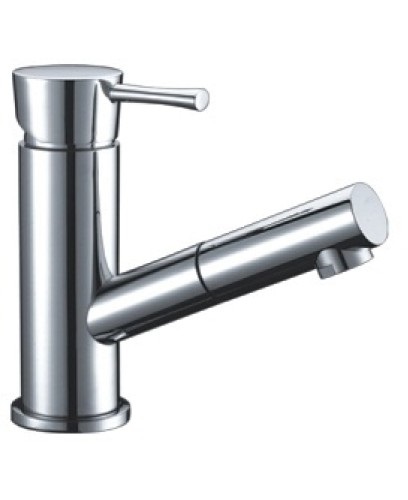 Смеситель д/кухни хром  G1209*       (ф35, выдвижная лейка, на шпильке)   GAPPO - Изображение №1