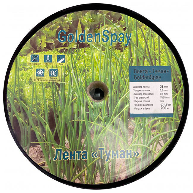 Туман    32  Golden Spay    (200 м) - Изображение №1