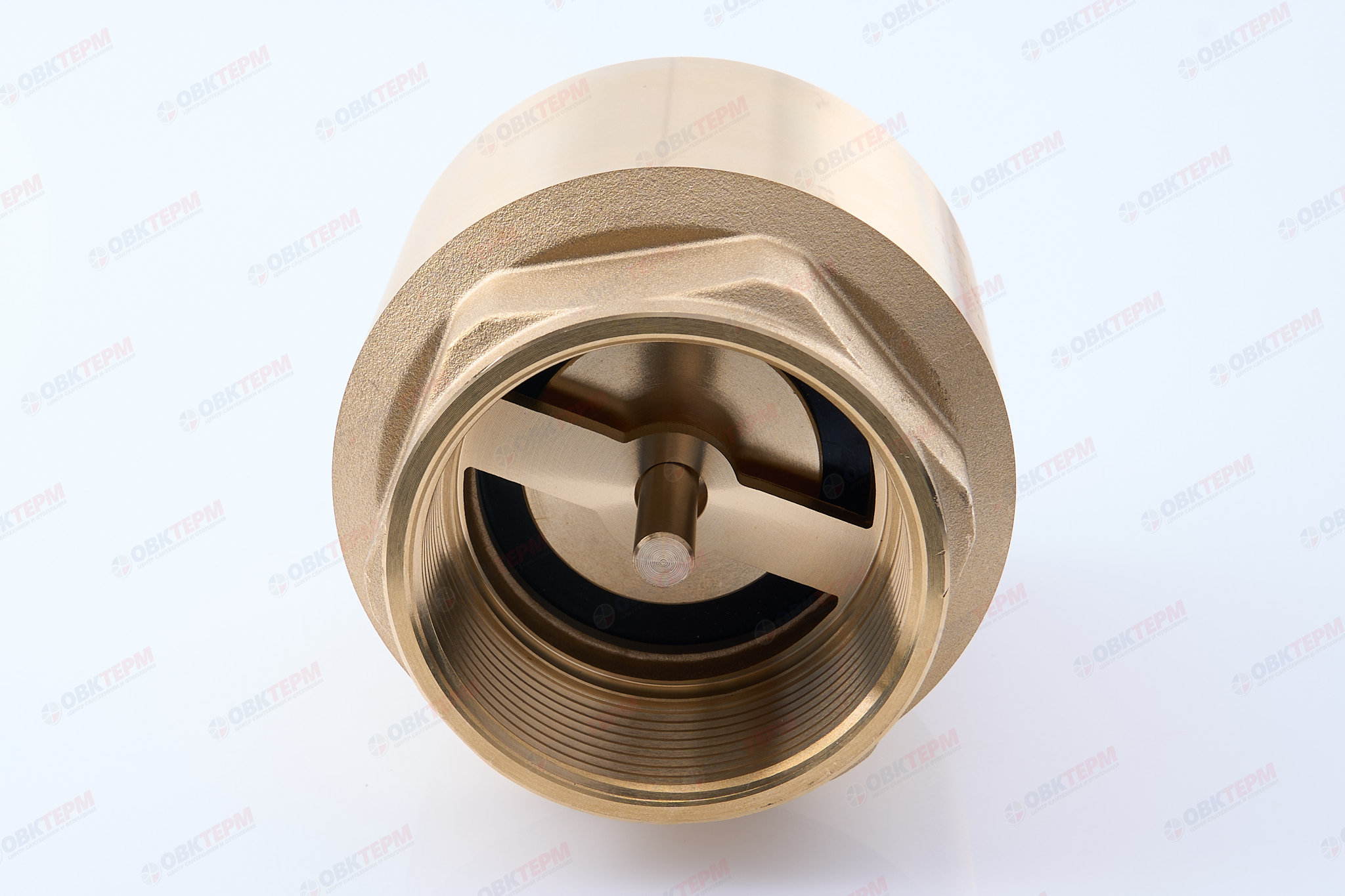 Клапан обратный    TIM  усиленный  2"  (лат.шток)   (6) - миниатюра №3