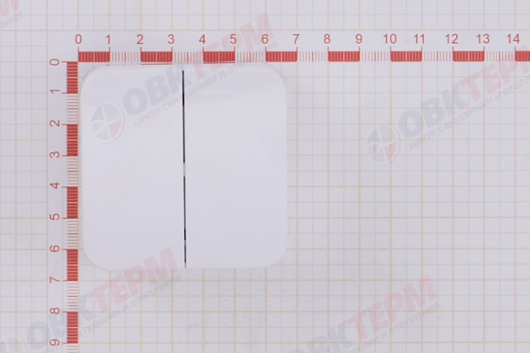 Выключатель 2-клавишный 10А IP20 250В с изолир. пластиной бел. белый Blanca Systeme Electric - миниатюра №7