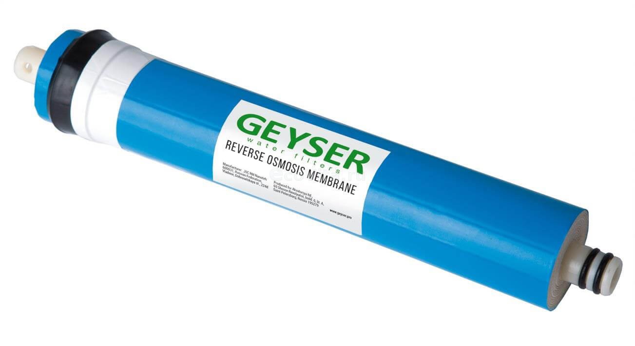ГЕЙЗЕР  Мембрана 2012-100 G - Изображение №1