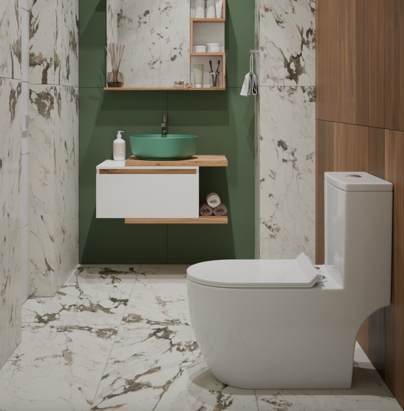 Унитаз-моноблок EVA GOLD T1088, (безободковый ,сиденье тонкое ДП,арматура с гофрой и подводкой) - миниатюра №8
