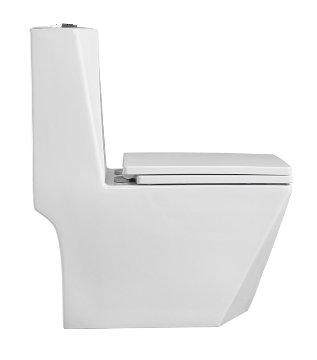 Унитаз-моноблок EVA GOLD T1029 сиденье ДП. арматура (с гофрой и подводкой) - Изображение №5