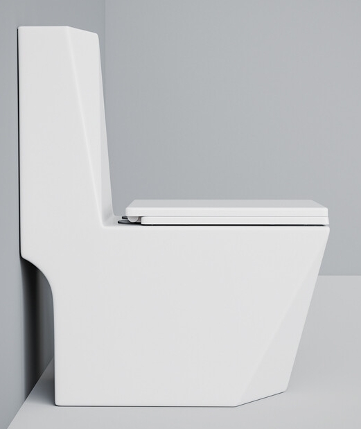 Унитаз-моноблок EVA GOLD T1029 сиденье ДП. арматура (с гофрой и подводкой) - миниатюра №7