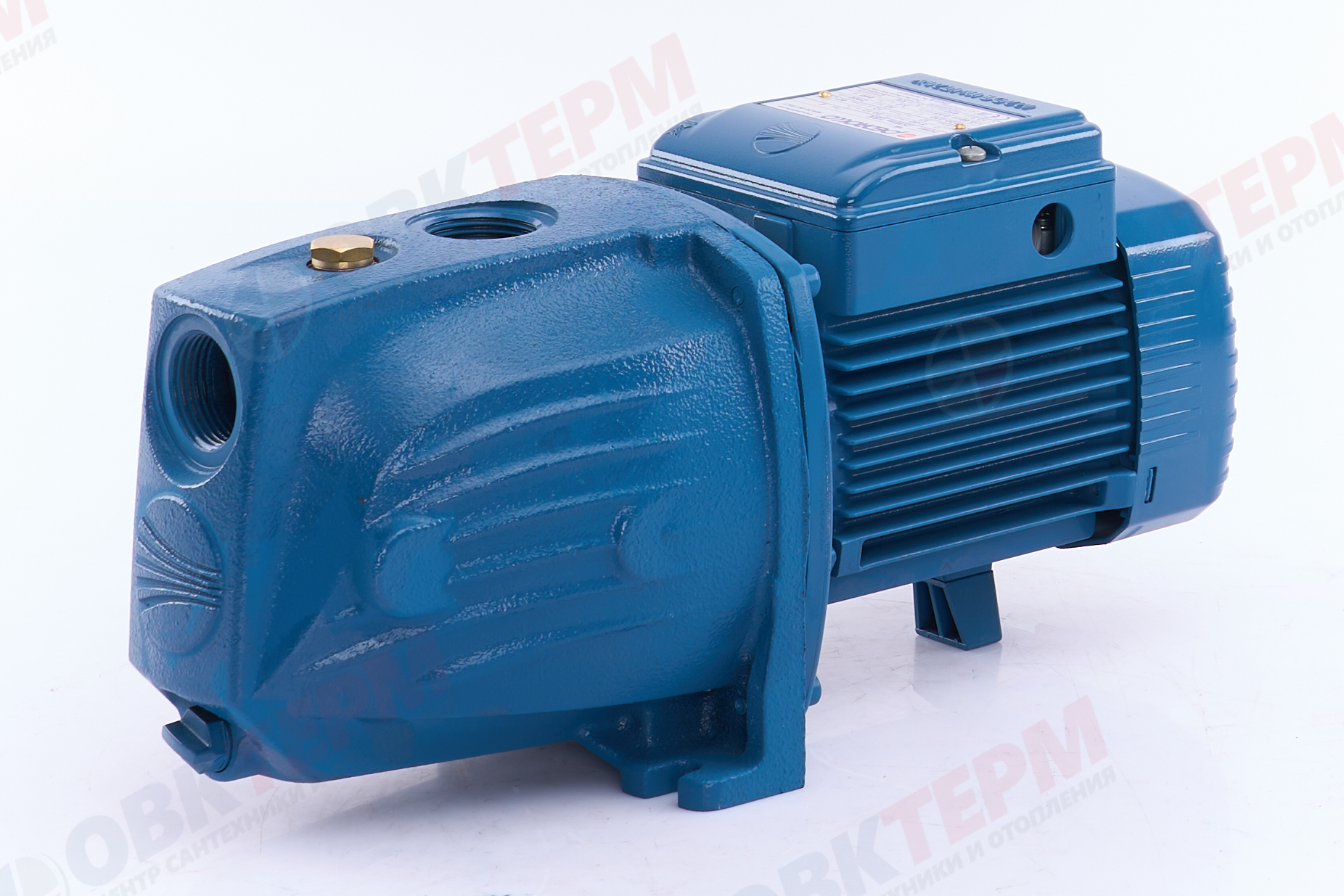 Насос центробежный  JSWm  1BX-N  Pedrollo    (0,5кВт/55л.м./37м.) - Изображение №2