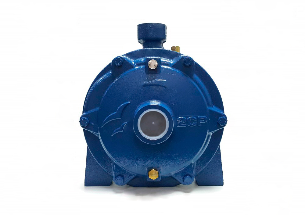 Насос многоступенчатый 2 CP 32/210B Pedrollo   (5,5кВт/250л.м./95м.) - миниатюра №3