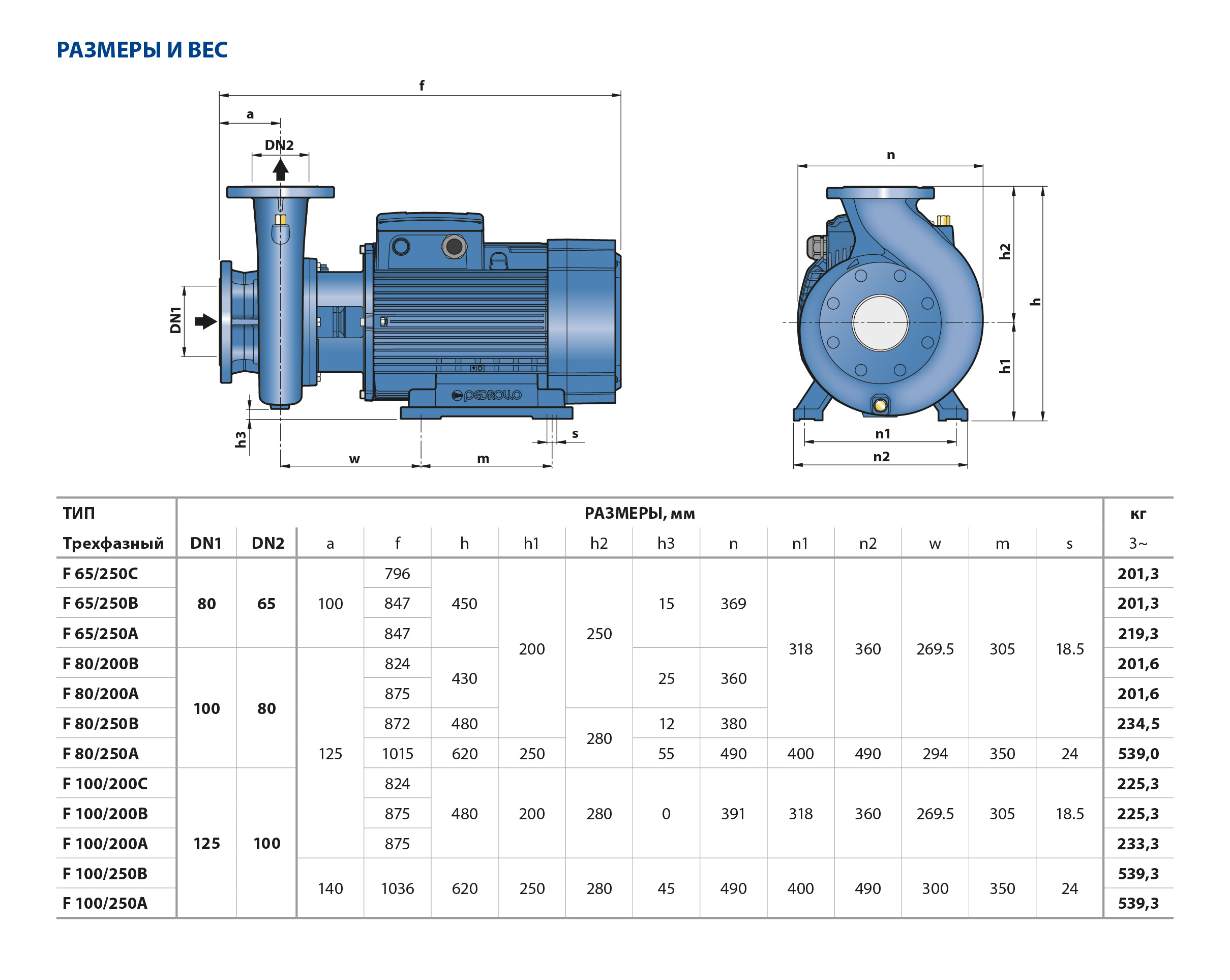 Насос центробежный  F 65/160 А  Pedrollo    (15кВт/2400л.м./41м.) - миниатюра №2