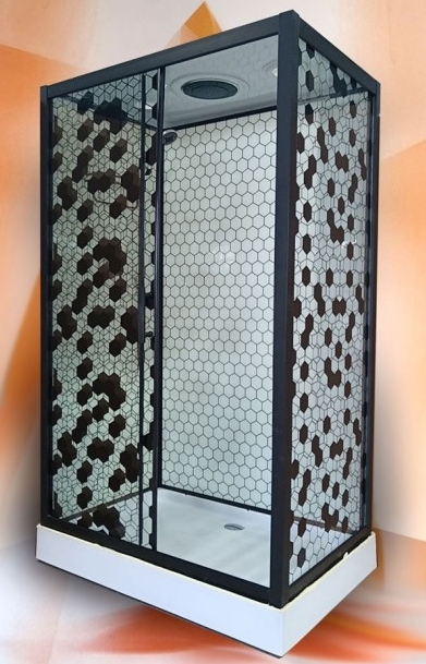 Душевая кабина ДАНА 66 120*80*212 (стекло 4мм, низкий поддон) (4 места) - Изображение №1