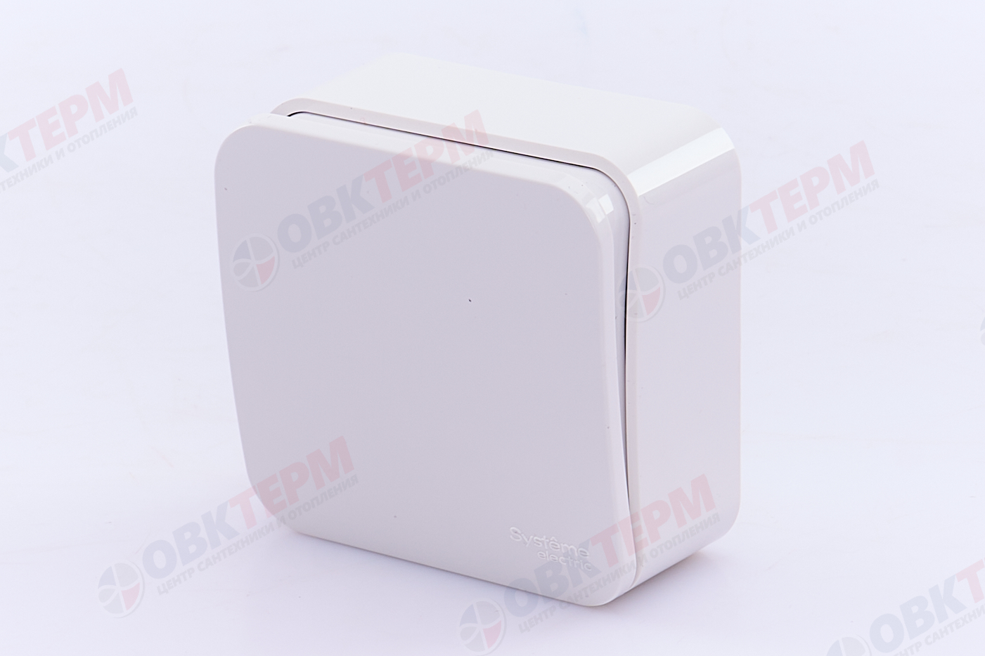 Переключатель проходной 1-клавишный 10А IP20 250В с изолир. пластиной белый Blanca Systeme Electric - Изображение №2